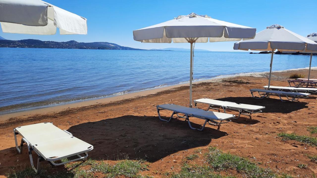 Alekos Beach Houses-Alekos Beach Complex 릭수리 외부 사진